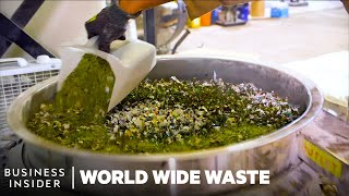 Meet 8 Young Founders Turning Trash Into Cash  World Wide Waste  Insider Business [upl. by Sweatt]