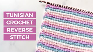 Tunisian Reverse Stitch Tutorial  HOW TO CROCHET a textured stitch for blankets and shawls [upl. by Jepson656]