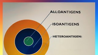 ANTIGEN PART 2 IMMUNOLOGY  TYPES OF ANTIGEN  HETEROPHILE ANTIGEN  ADJUVANT [upl. by Ro763]