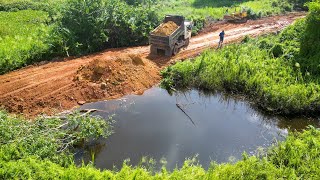 Full Processing Skills Bulldozer KOMATSU D20P amp 5T Dump Truck ​Pouring Soil To Delete Deep Pond [upl. by Nea635]