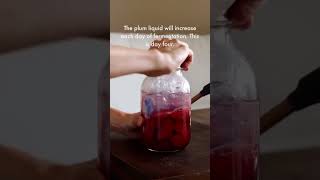 Lacto Fermented Plums  Easy and Cheap Way to Ferment [upl. by Vail]