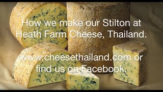 Our complete recipe for making Stilton Cheese [upl. by Enelaehs]