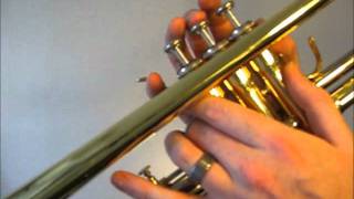 Learn to play C major scale on trumpet [upl. by Enirual]