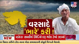 Top 10 Rain News Updates from Gujarat  13102024  TV9Gujarati [upl. by Rubia]