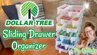 SLIDING DRAWER Organizer  Easy Organization Idea  Dollar Tree DIY  Pip Update [upl. by Amihsat]