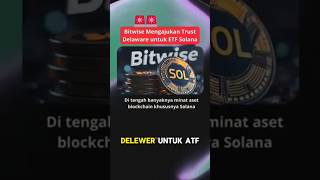 Bitwise Mengajukan Trust Delaware Untuk ETF Solana [upl. by Allrud]