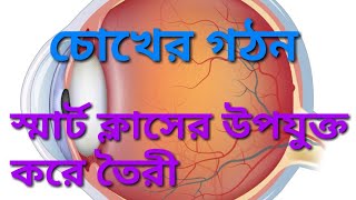 চোখের গঠন Structure of eye in Bengali smart class video [upl. by Fidelio]