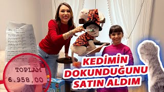 KEDİMİZİN DOKUNDUĞU HER ŞEYİ SATIN ALDIK  5 KATLI ŞATO SEÇTİ [upl. by Akeemahs809]