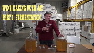 Beginner Wine Making  Fermentation [upl. by Mendoza594]