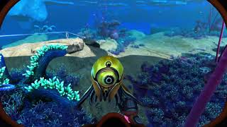 Trivalve is the cutest thing in Subnautica Below Zero [upl. by Acinomad472]