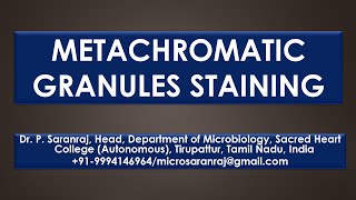 Metachromatic Granules Staining [upl. by Marjana]