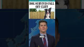 A DOG SURVIVES🤯 shorts snl weekendupdate [upl. by Ojaras]