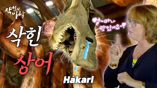 4K 홍어와 상어를 삭혀서 먹는 나라 아이슬란드 삭힘의 미학 Aesthetics of Fermentation Iceland Hakarl 하우카르틀 하칼 [upl. by Relly108]