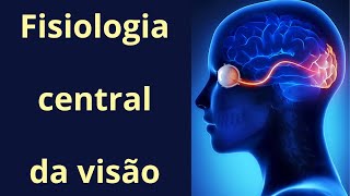 Via óptica e fisiologia central da visão  Fisiologia Humana [upl. by Logan]