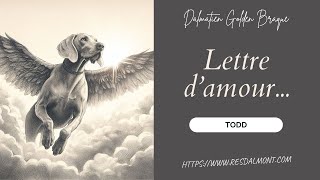 Notre Petit Ange 😇  Lettre damour à Todd [upl. by Ramalahs282]