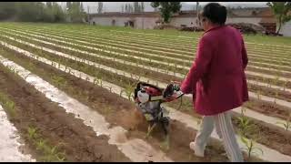 25KW petrol engine gardentiller agriculturalmachinery handcultivator agriculturetools [upl. by Auqinet]