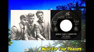 The Neons – Swingin Thing Is Summertime  My Baby Dont Love Me Teener surf summer pop Reupload [upl. by Jocelyne]