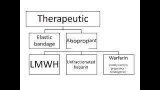 10 coagulation disorders in pregnancy dr Mod Abobakr [upl. by Hsevahb344]