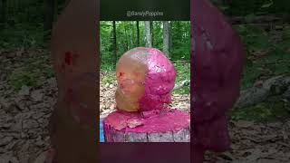 Shooting a Ballistic Gel Head into Pink Mist ballisticdummylabs firearmseducation barelypoppins [upl. by Adorne]