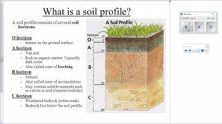 AP Environmental Science APES Soil Horizons [upl. by Ezekiel]