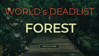 Surviving the Darien Gap The Worlds Deadliest Forest [upl. by Yelrac755]