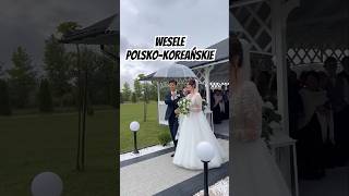 Wesele polskokoreańskie [upl. by Riem731]