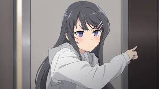 Rascal Does Not Dream of Bunny Girl Senpai OPOpening  Kimi no seiThe Peggies [upl. by Stryker]