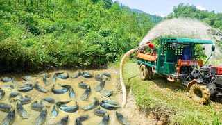 Use High Capacity Pump To Drain Fish Pond  Harvest And Use Truck Transport Many Fish Go To Sell [upl. by Lotta]