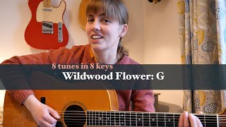 8 Tunes in 8 Keys Wildwood Flower  G [upl. by Niahs]