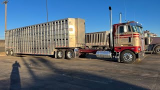 Old School Cool Spotted in Hereford Texas Idaho Plates Bet that is fun to sleep in bullhauler [upl. by Annaerdna]