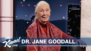 Dr Jane Goodall on Living with Chimps Their Language amp the Possibility of Bigfoot [upl. by Amleht231]