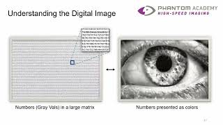 Python for Image Processing amp Analysis Webinar [upl. by Buroker522]