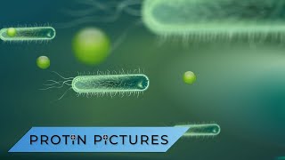 Science Explainer Example Antibacterial Soaps Vs Regular Soap [upl. by Hsima]