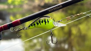 One Lure ONLY Multispecies Fishing Challenge [upl. by Pettifer]