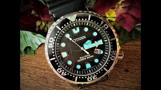 Citizen Promaster EcoDrive Long Term Review BN015028E Dive Watch [upl. by Waldon956]