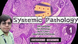 SYSTEMIC PATHOLOGY1 CNSSkinBone and Hepatobiliary  ONE SHOT🏃‍♂️  MEDVERSE [upl. by Edie]