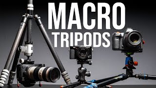 Macro The best tripods I use and the tricks for getting low shots [upl. by Aicak]