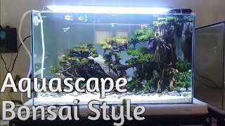 aquascape bonsai [upl. by Anirahc]