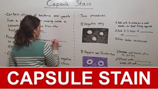 Capsule Stain [upl. by Atilrak]