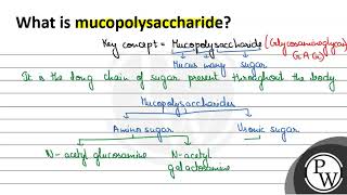 What is mucopolysaccharide W [upl. by Eclud646]