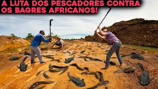 A TERRÍVEL INFESTAÇÃO DE BAGRES AFRICANOS NO BRASIL PREOCUPA PESCADORES [upl. by Palgrave429]