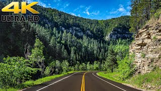 Colorado Rocky Mountain Scenic Drive on Grand Mesa Scenic Byway 4K [upl. by Soni26]