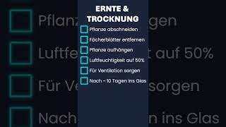 Ernten amp trocknen [upl. by Garrity]