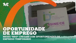 Meses quotBROquot chegam com oportunidades de emprego temporário [upl. by Anirpas839]