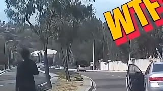 Gigantic Spider Made Women Jump Out Of Car Still Running wshh fyp wtfvideos [upl. by Nonah]