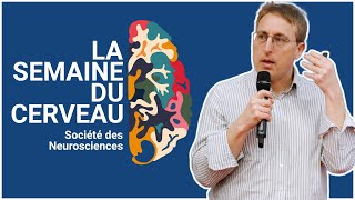 L’Homme connecté LA SEMAINE DU CERVEAU [upl. by Flam]