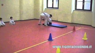 ASD TIGER Play Taekwondo per Cuccioli 35 anni [upl. by Rexer717]