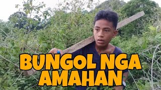 BUNGOL NGA AMAHAN [upl. by Akemehs]