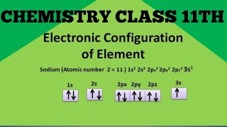 Electronic configuration class 11amp 12th Basic in simple way [upl. by Acirem326]