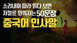 중국어회화의 가장 기본적인 인사말 50문장 [upl. by Arbas]